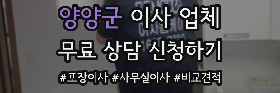 양양군 이사 업체