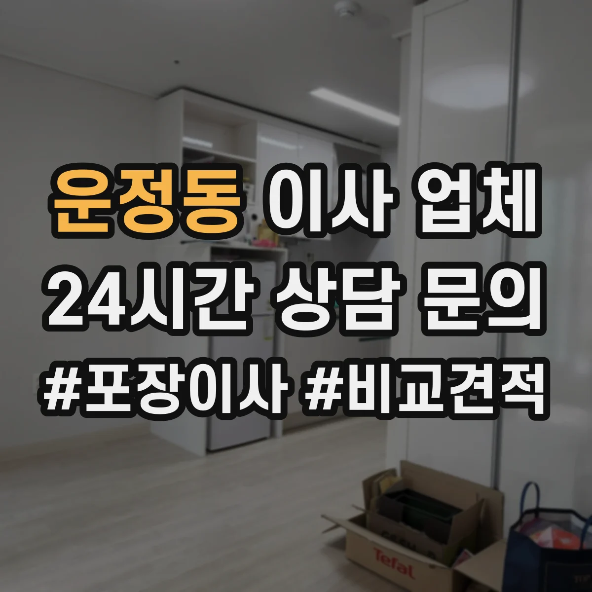운정동 이사 업체