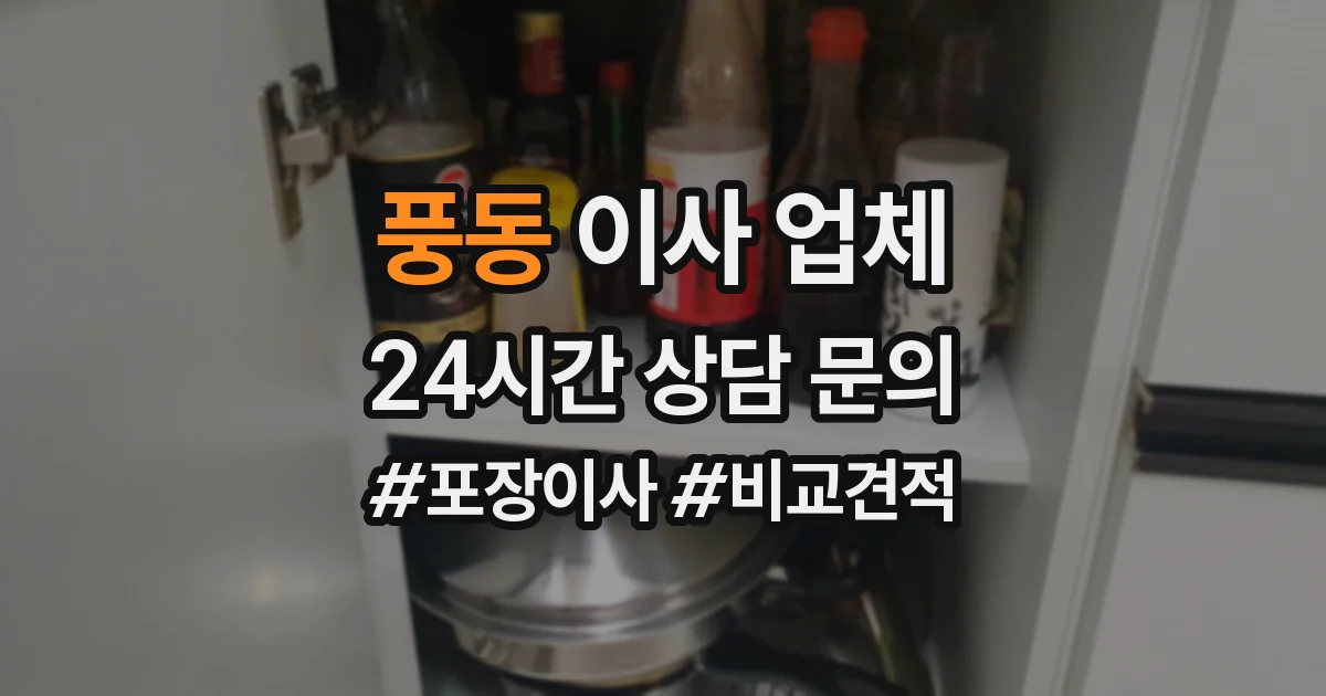 풍동 이사 업체
