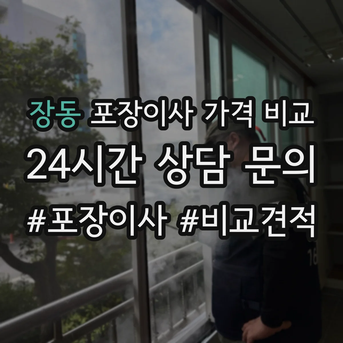 장동 포장이사 가격 비교