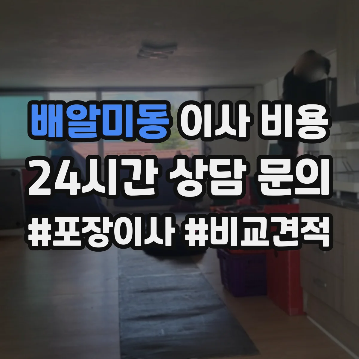 배알미동 이사 비용
