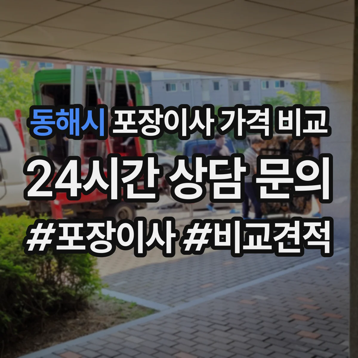 동해시 포장이사 가격 비교
