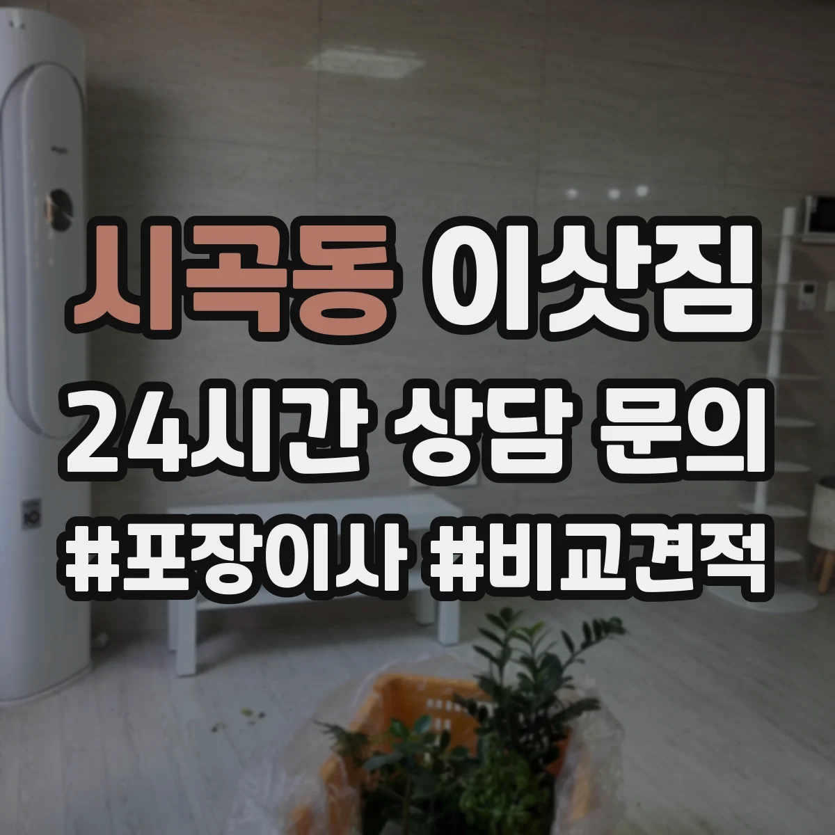 시곡동 이삿짐