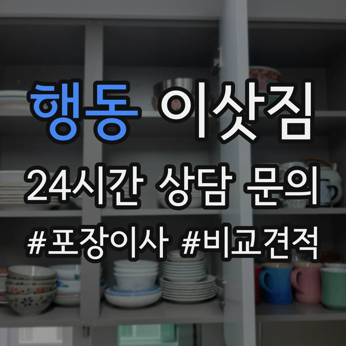 행동 이삿짐