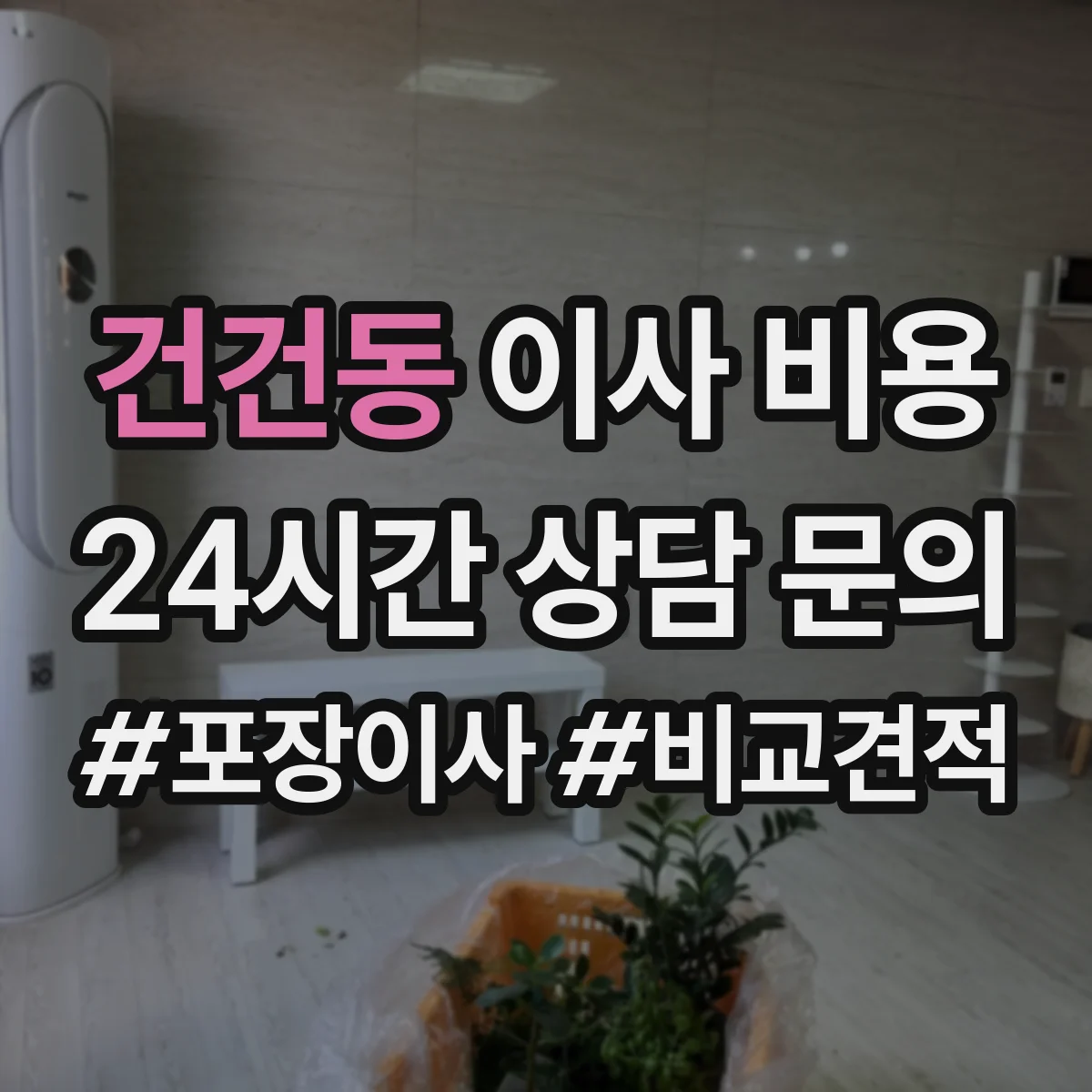 건건동 이사 비용