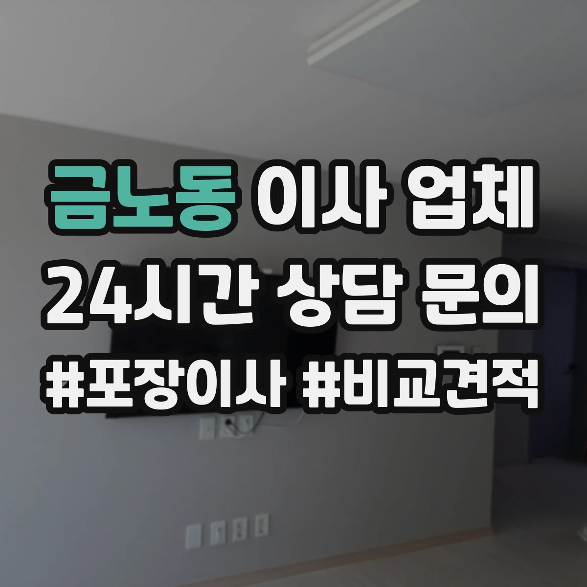 금노동 이사 업체