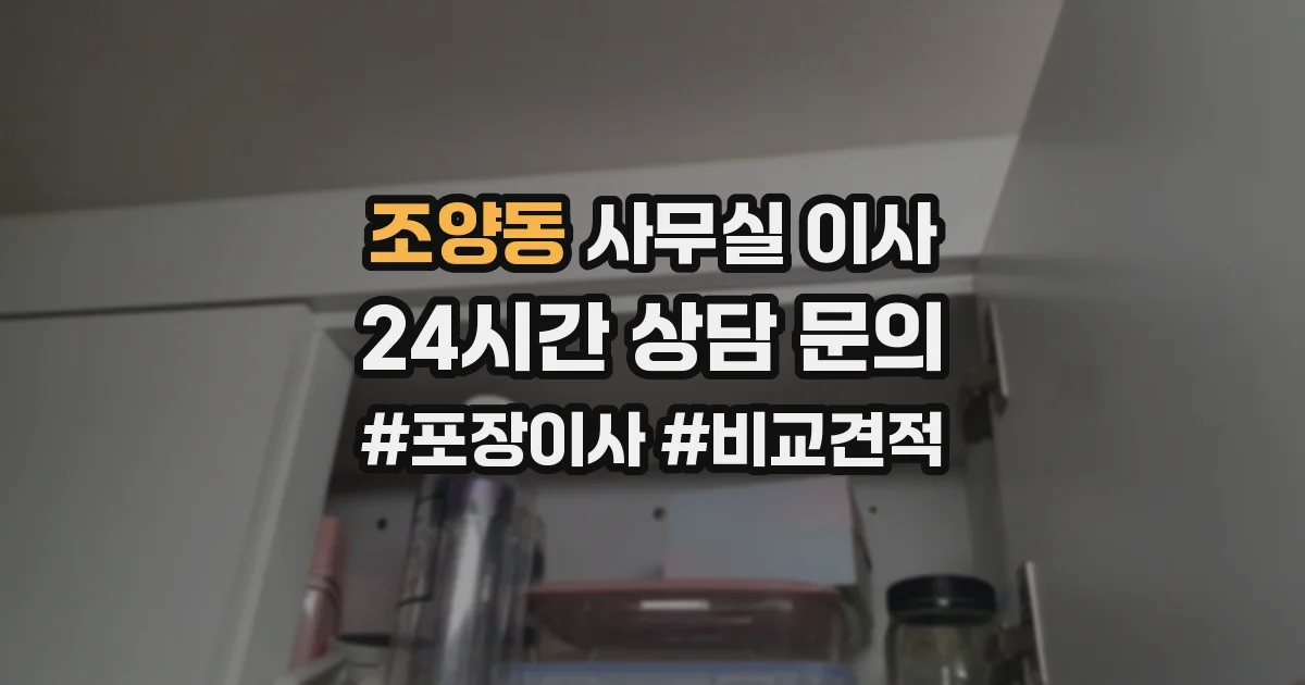 조양동 사무실 이사