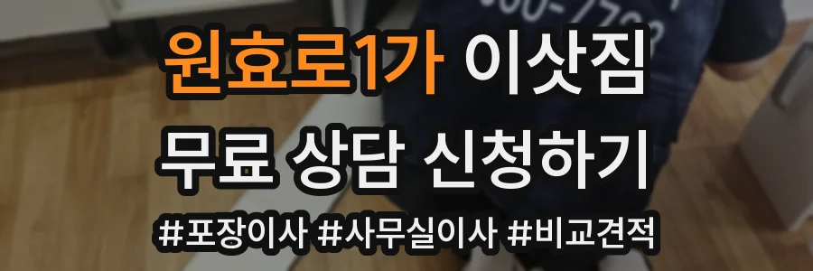 원효로1가 이삿짐