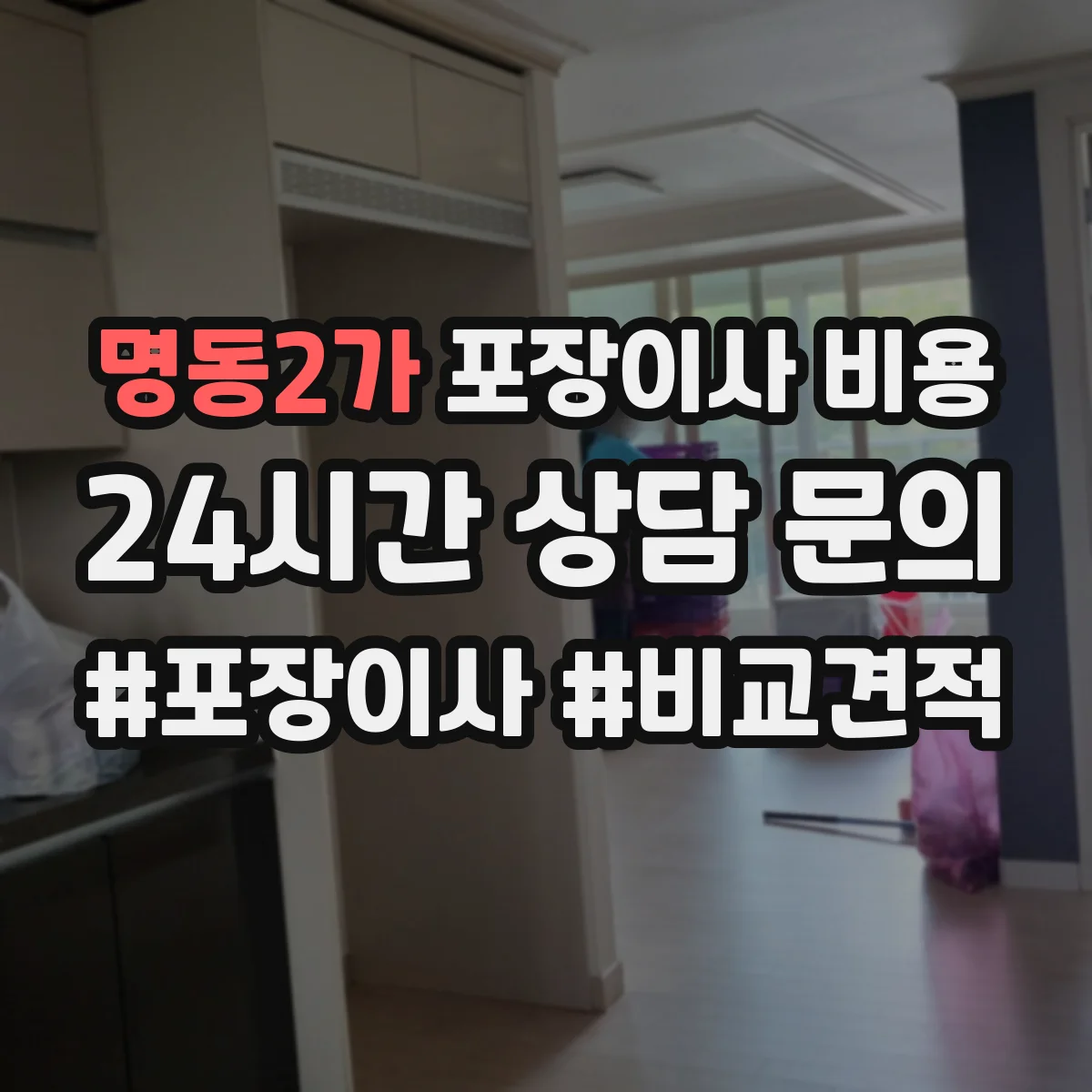 명동2가 포장이사 비용