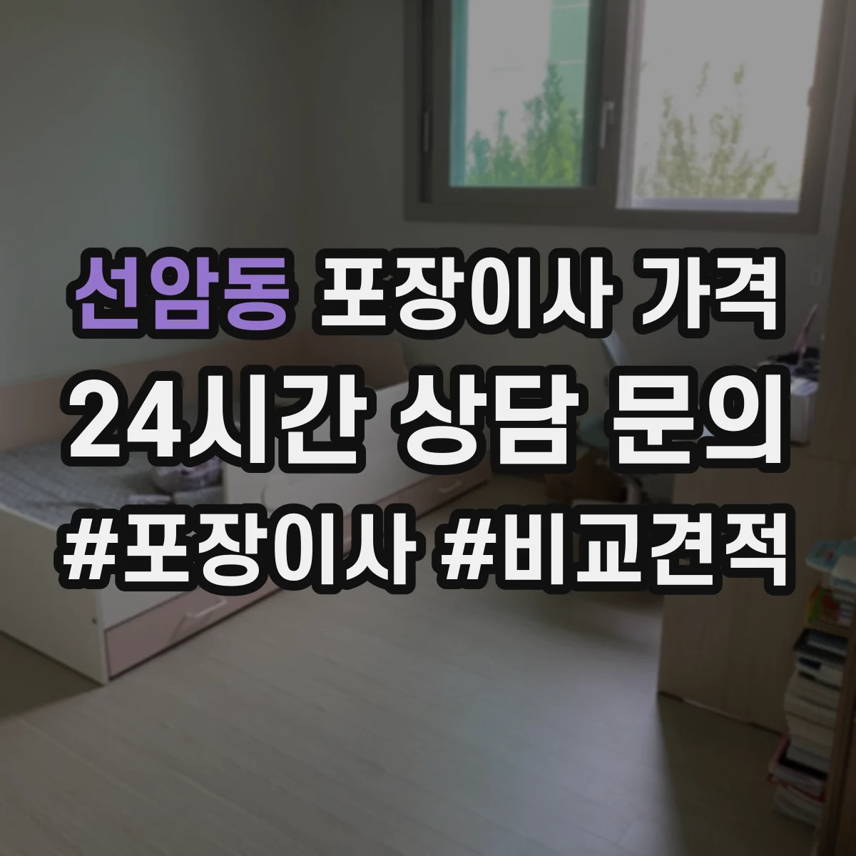 선암동 포장이사 가격