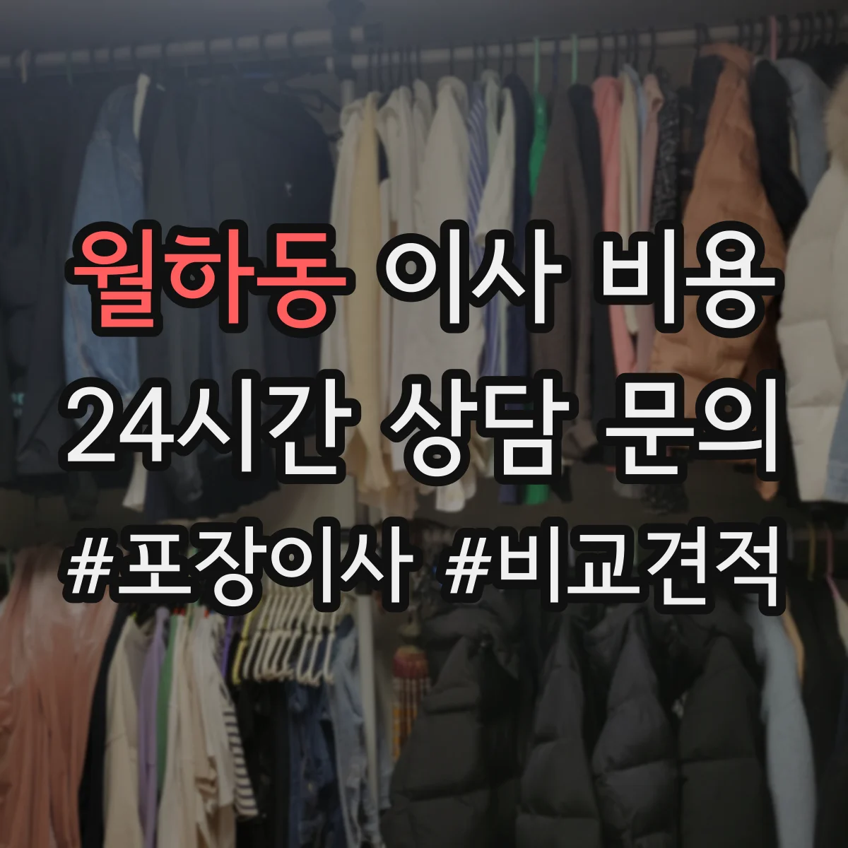 월하동 이사 비용