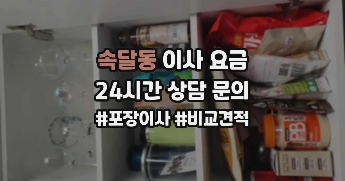 속달동 이사 요금