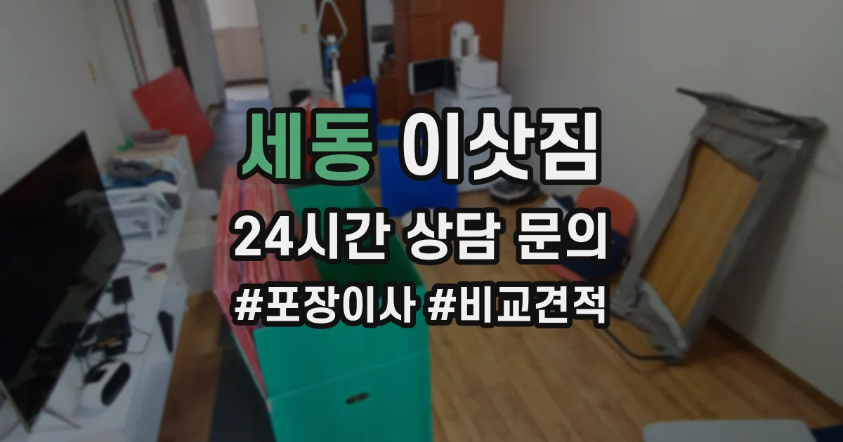 세동 이삿짐
