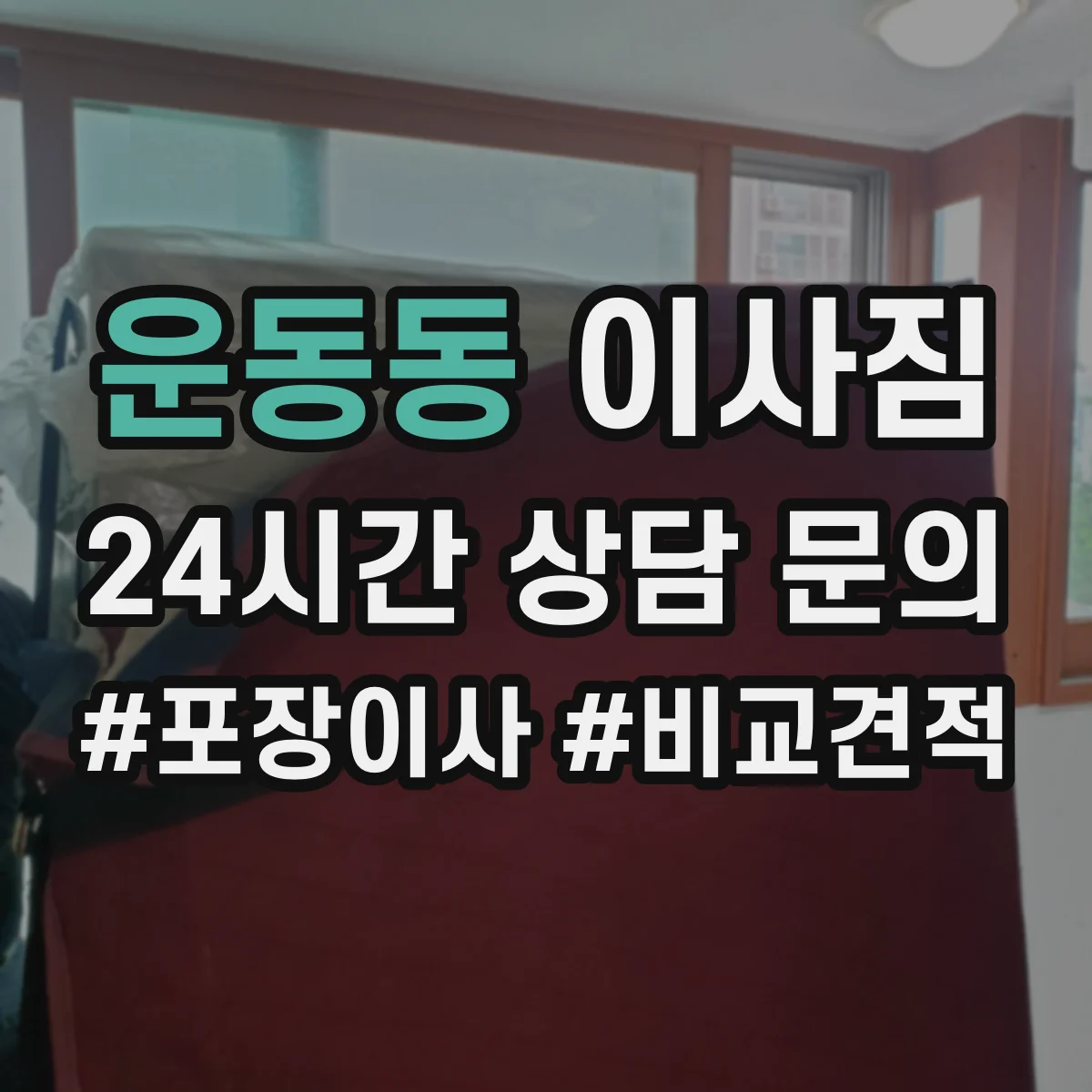 운동동 이사짐