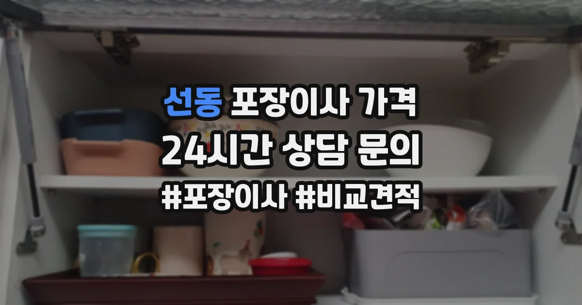 선동 포장이사 가격