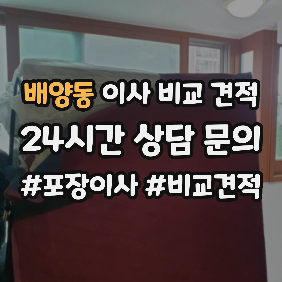 배양동 이사 비교 견적
