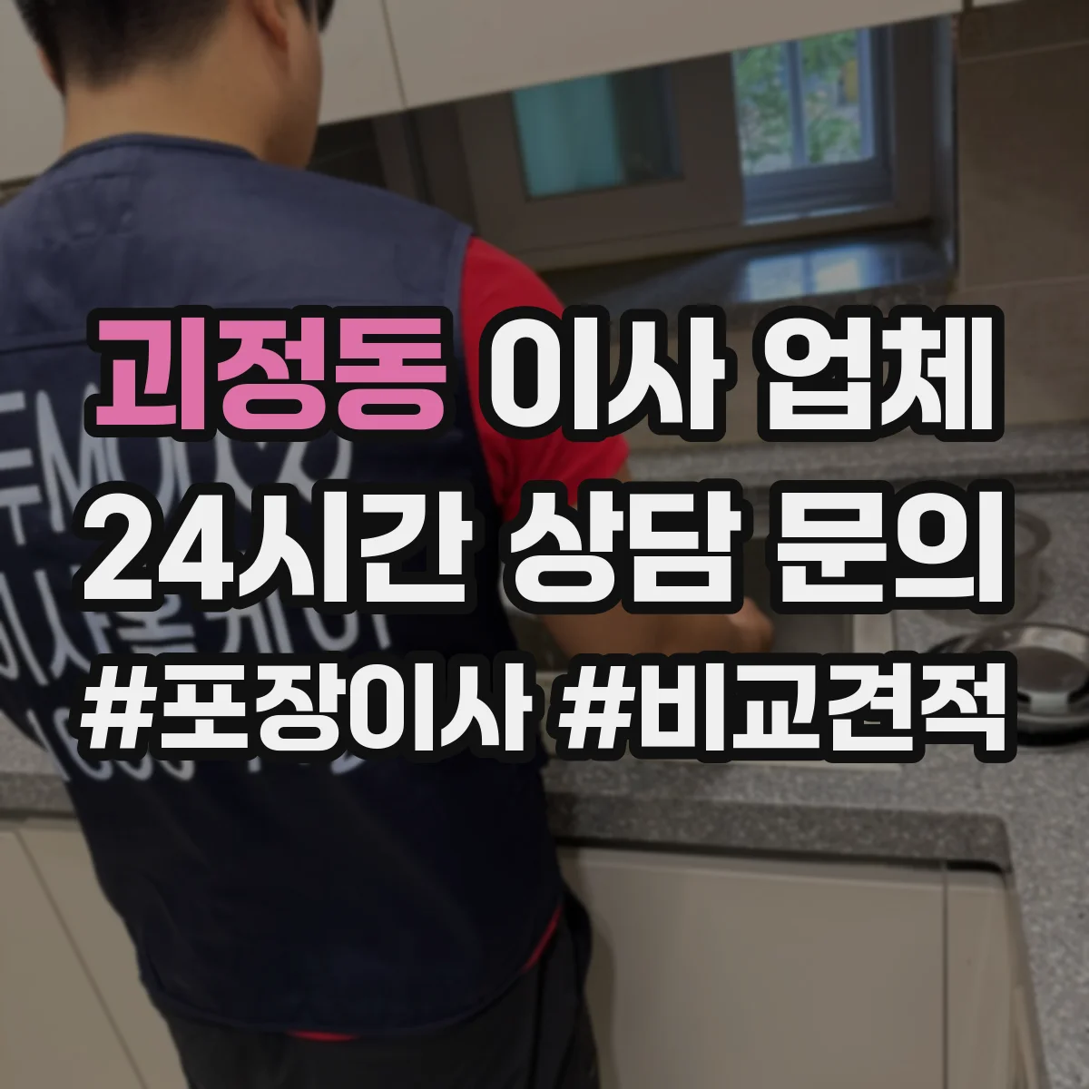 괴정동 이사 업체