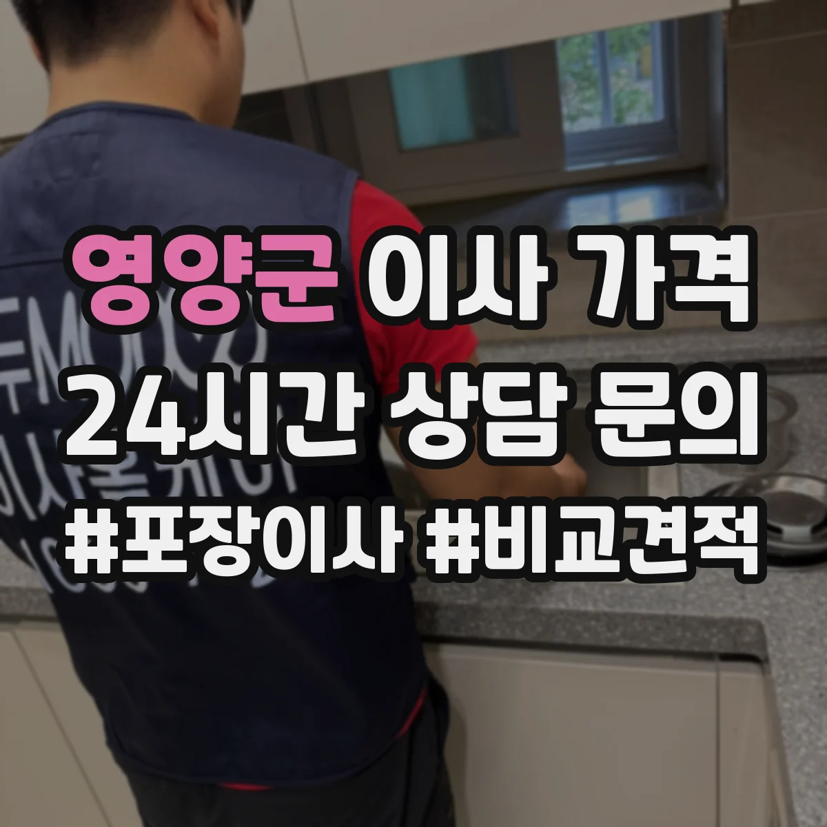 영양군 이사 가격