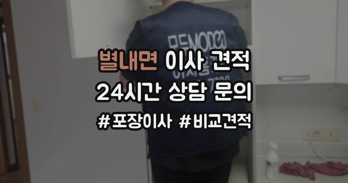 별내면 이사 견적