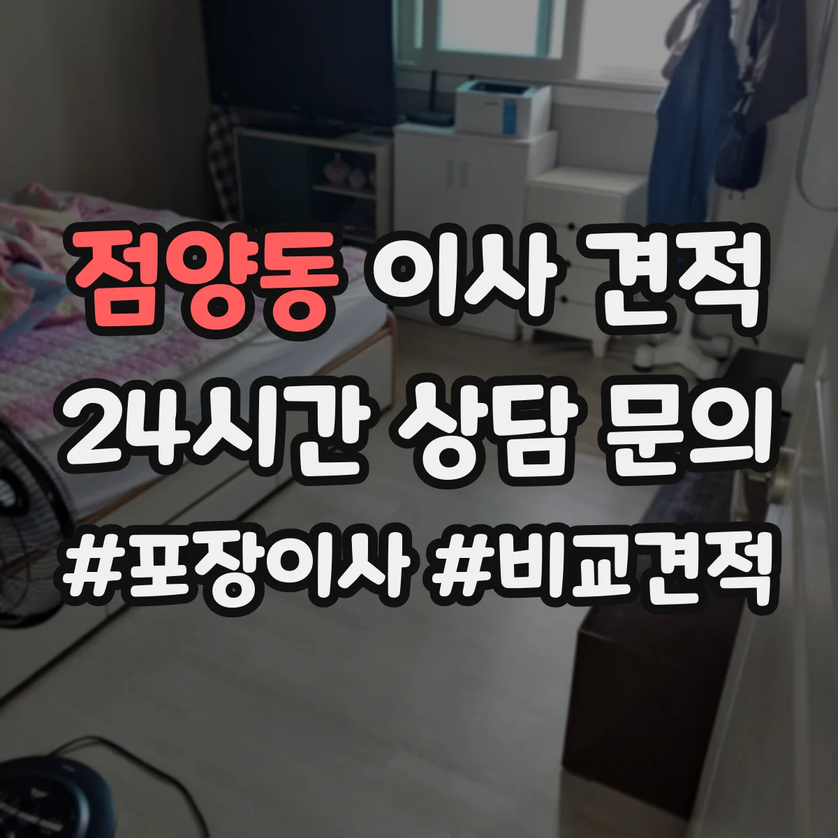 점양동 이사 견적