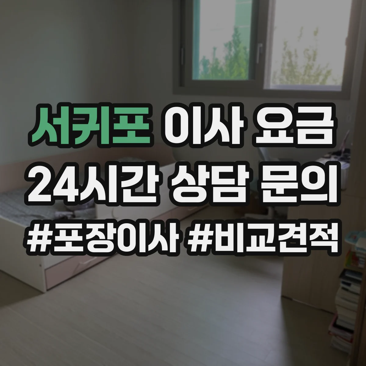 서귀포 이사 요금