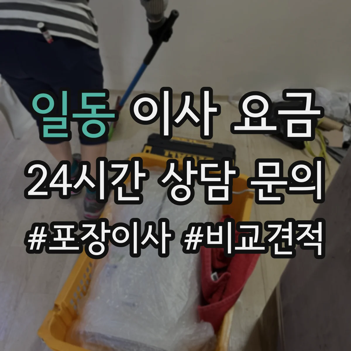일동 이사 요금