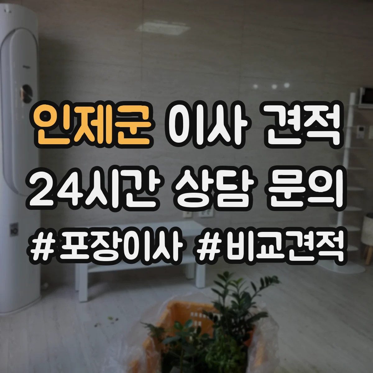 인제군 이사 견적