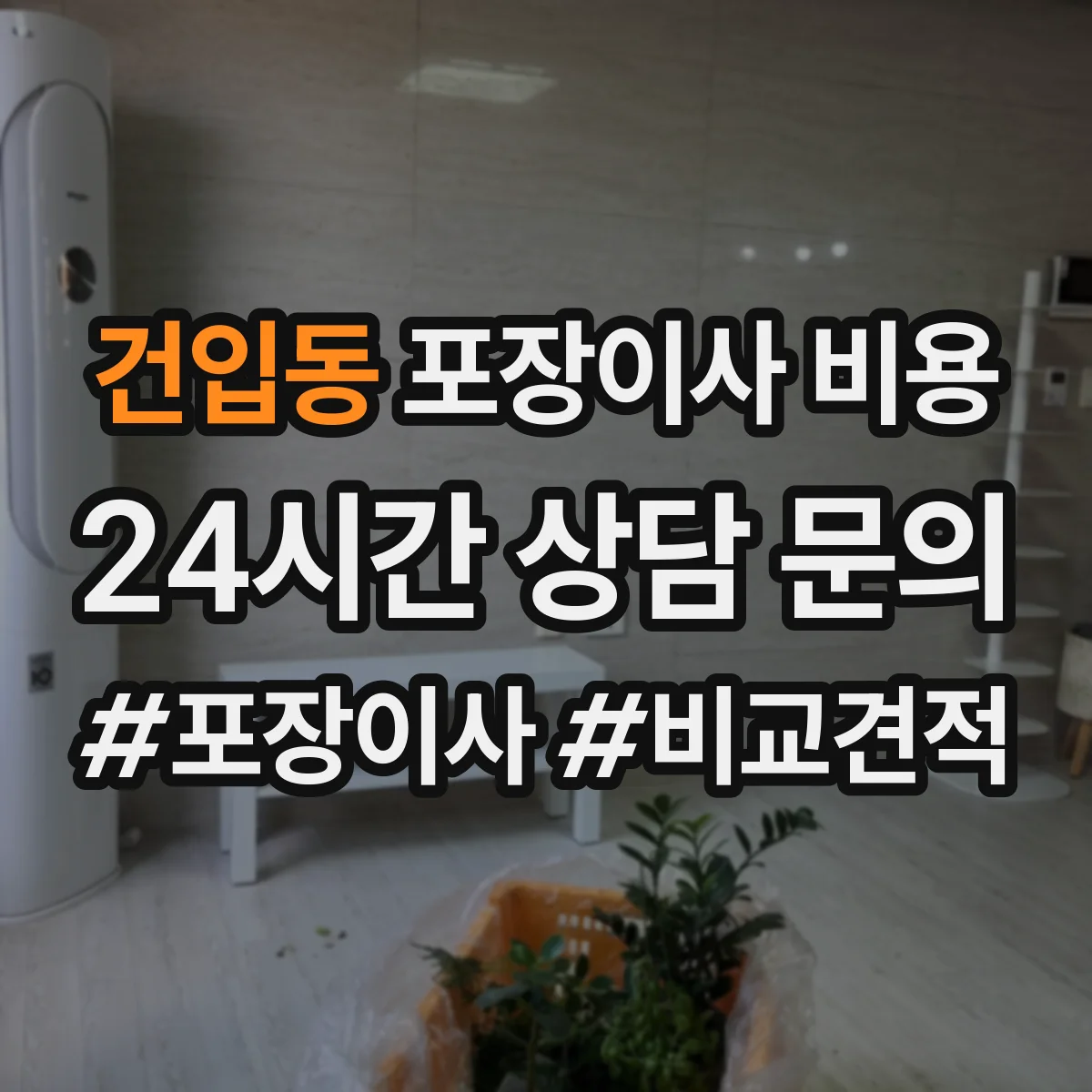 건입동 포장이사 비용