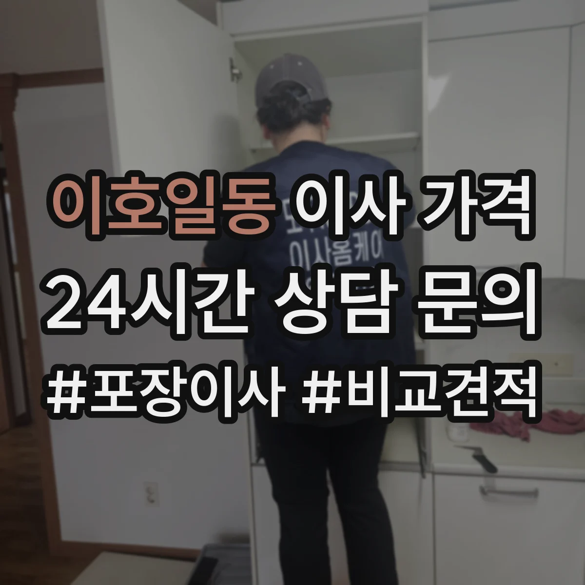 이호일동 이사 가격
