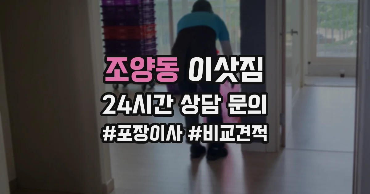 조양동 이삿짐