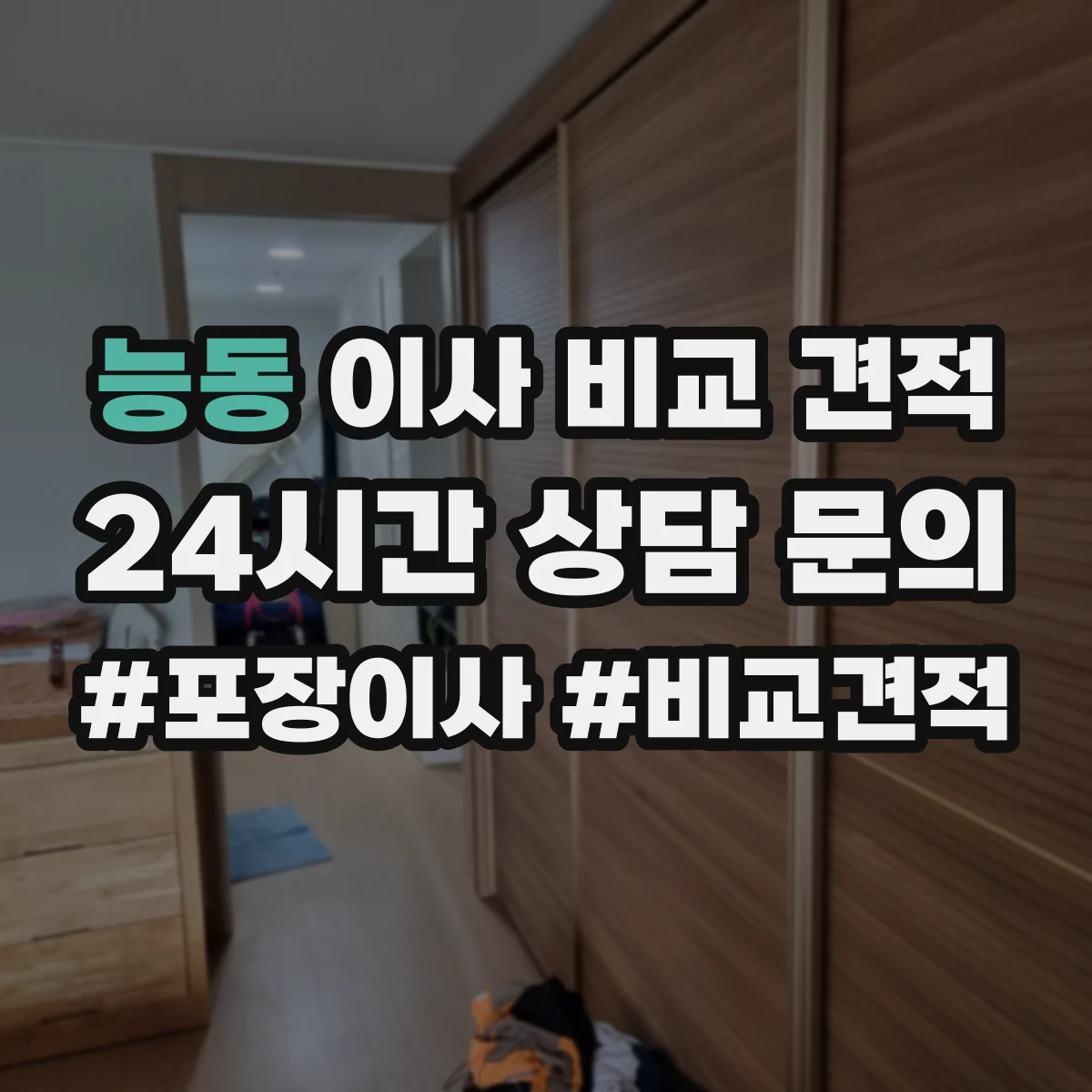 능동 이사 비교 견적