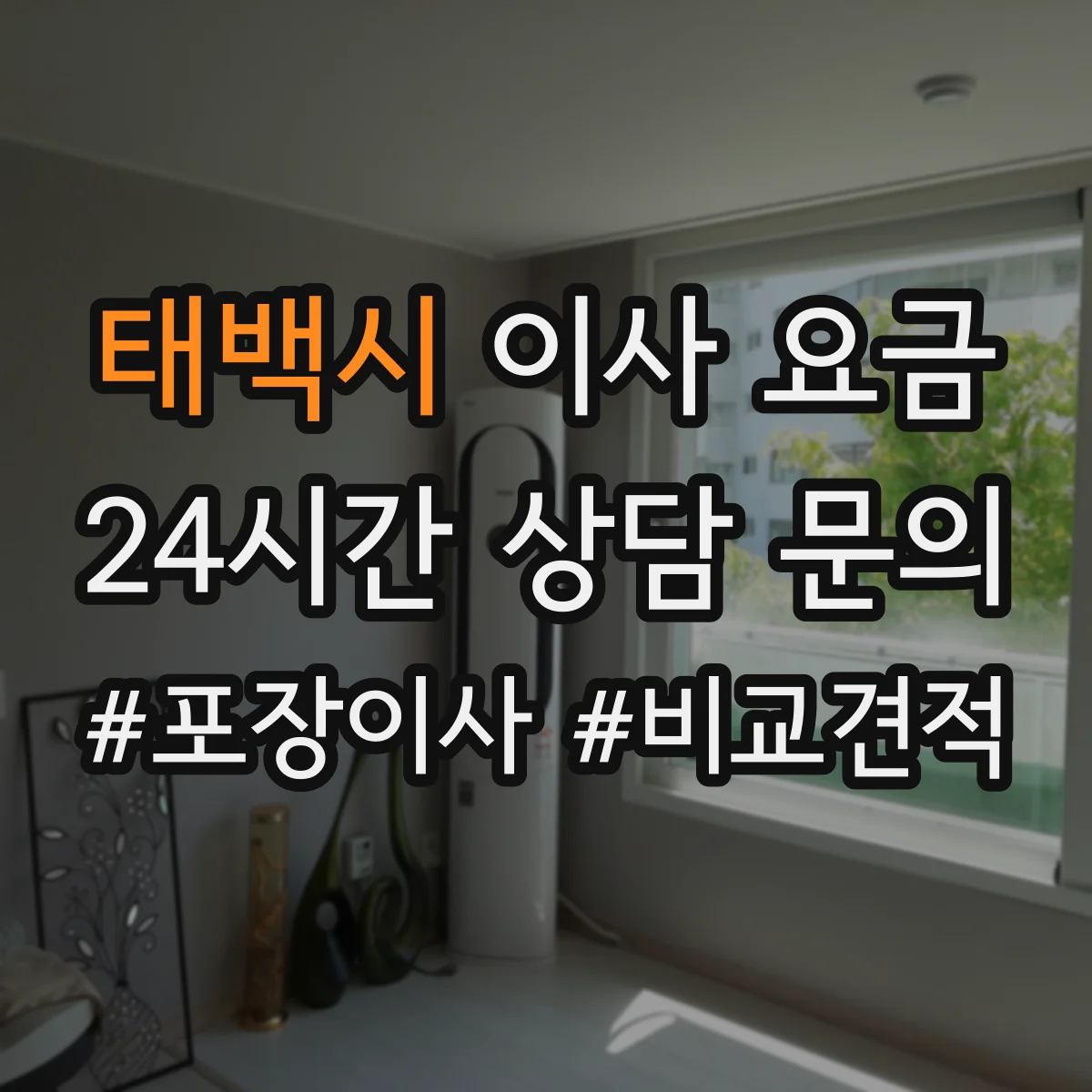 태백시 이사 요금