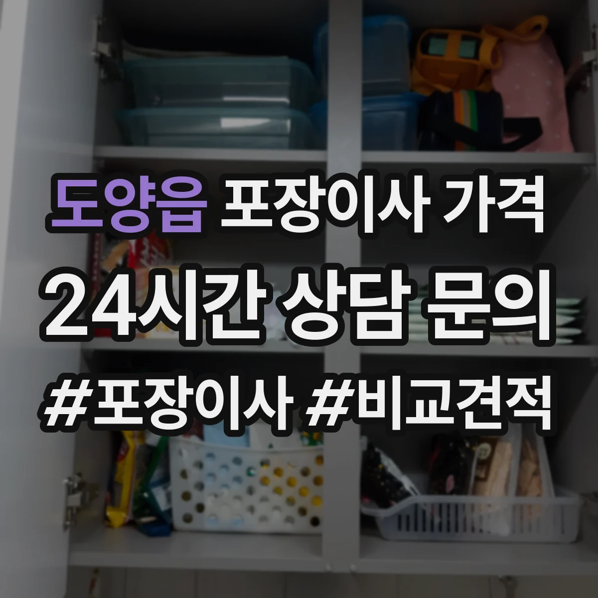도양읍 포장이사 가격