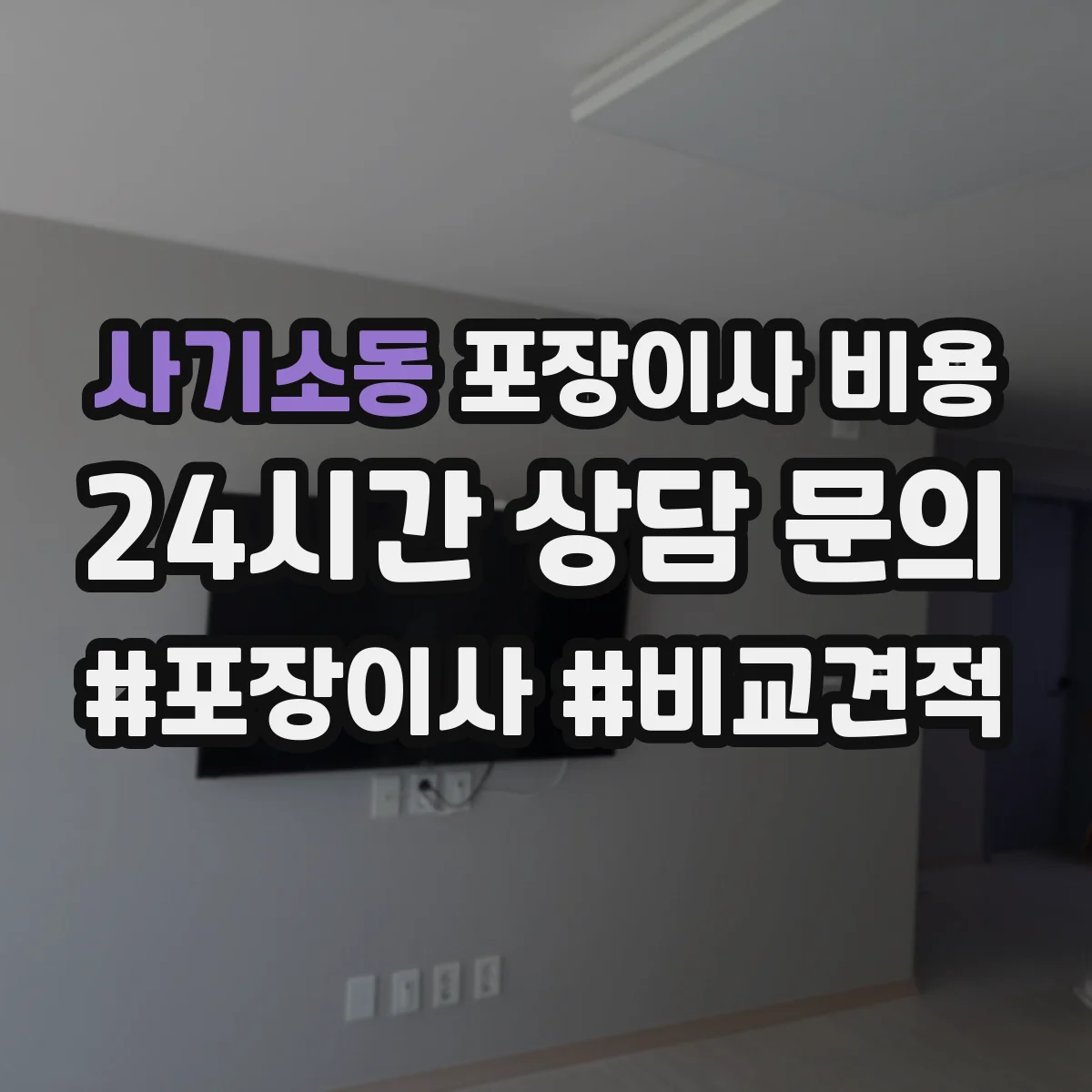 사기소동 포장이사 비용