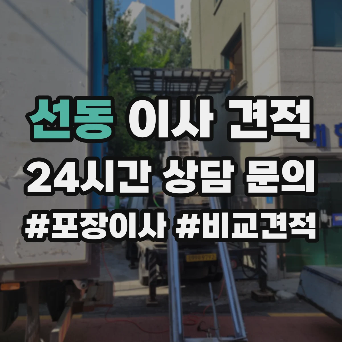 선동 이사 견적