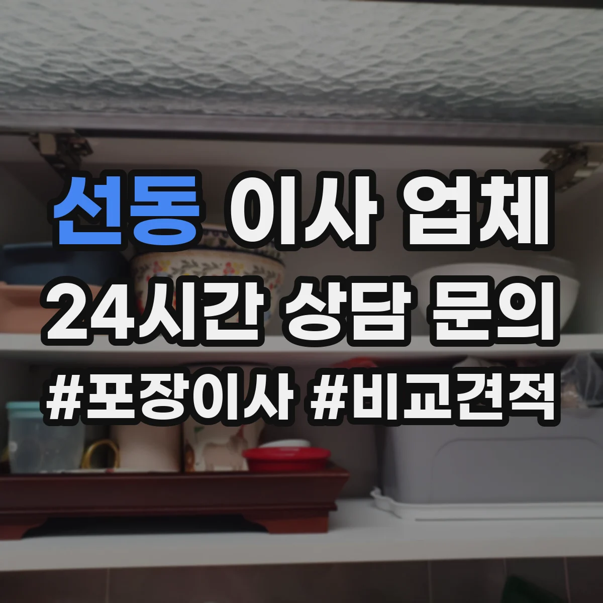 선동 이사 업체