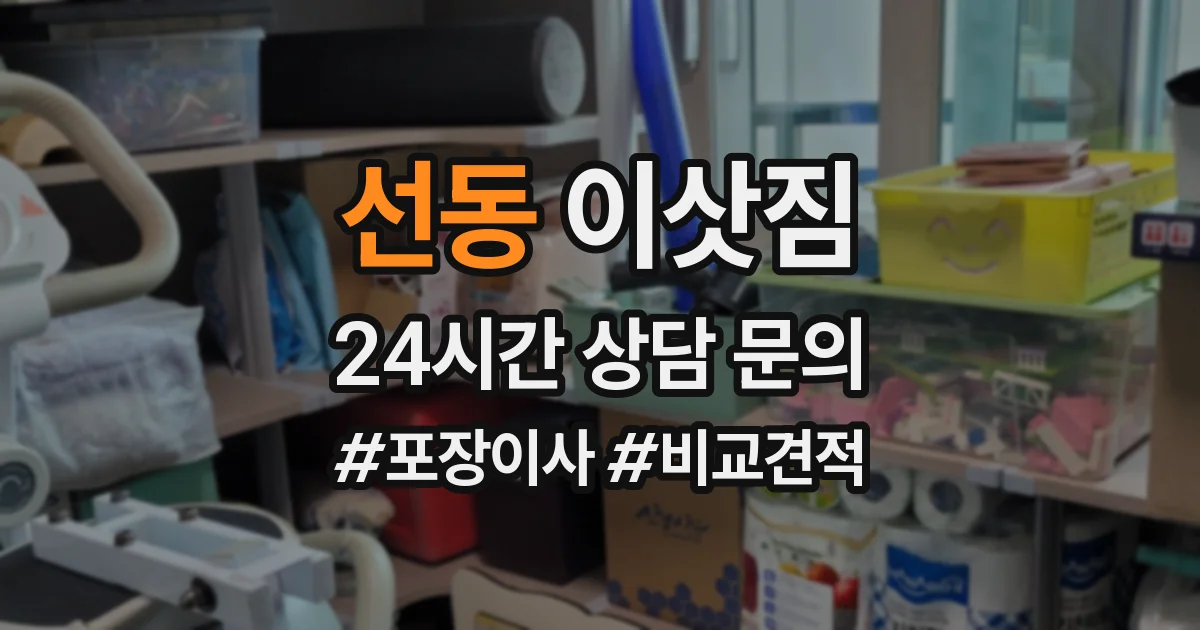 선동 이삿짐