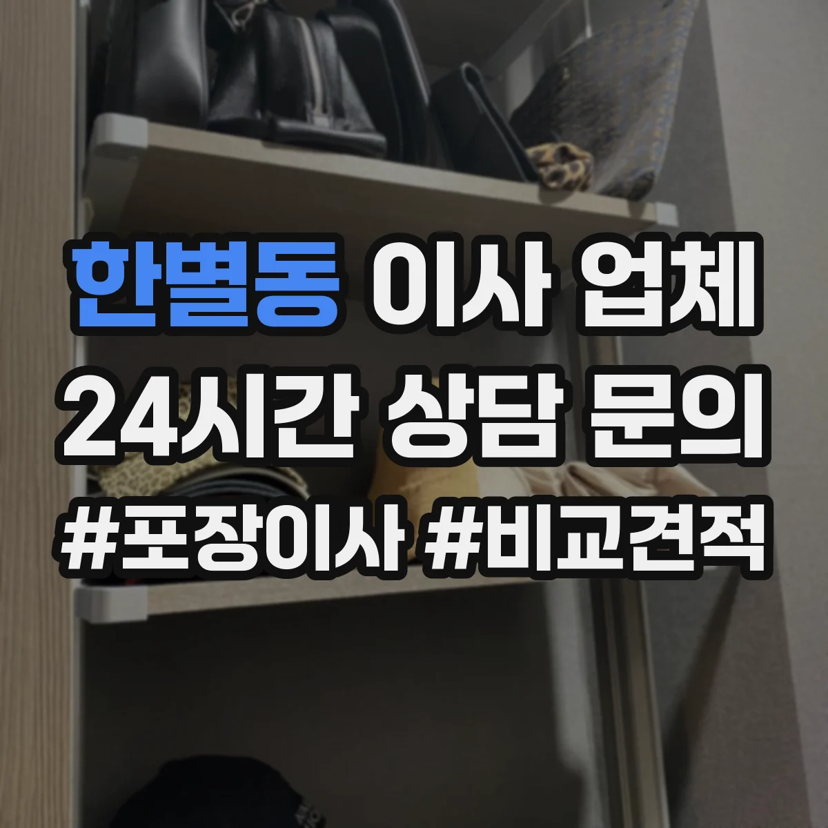 한별동 이사 업체