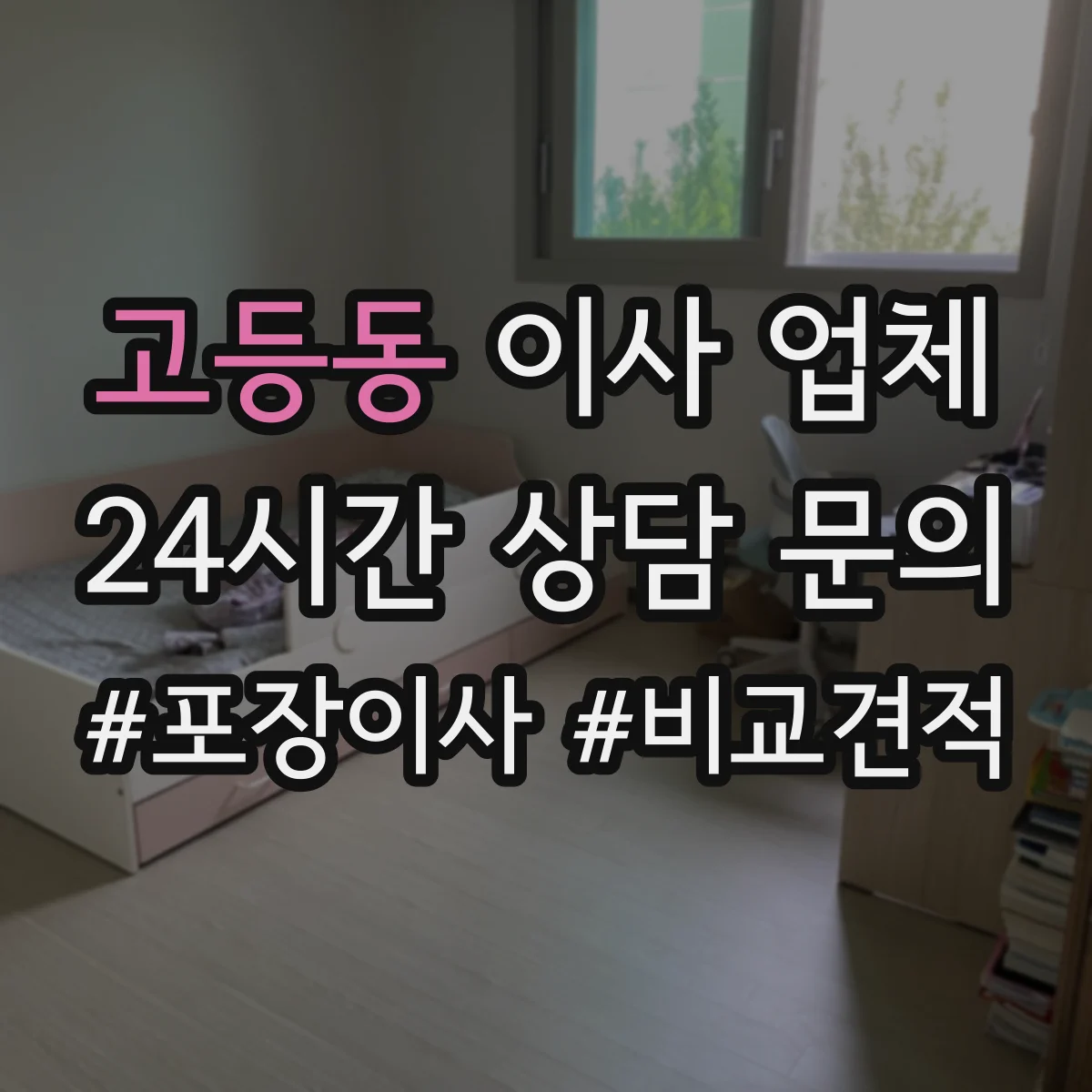 고등동 이사 업체