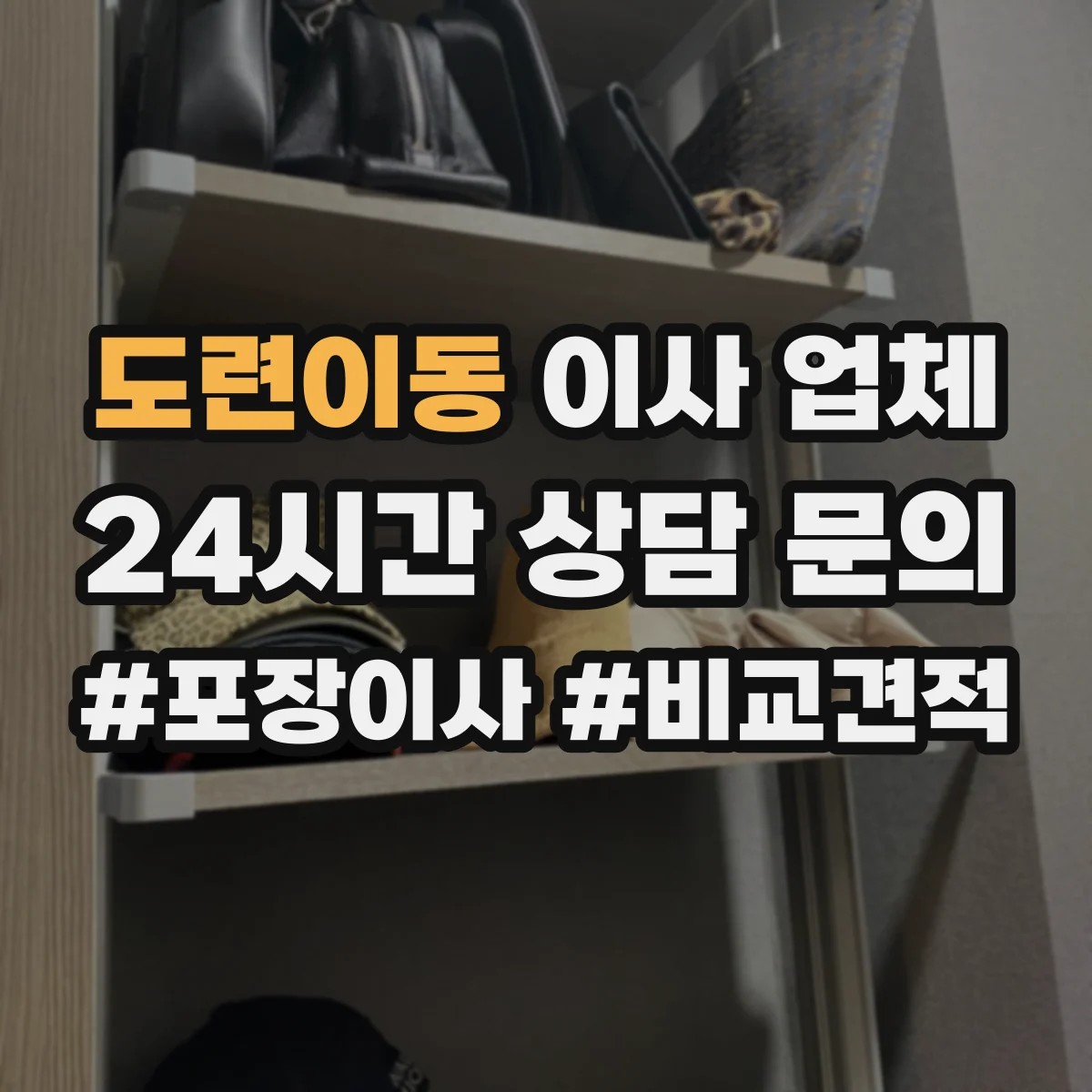 도련이동 이사 업체