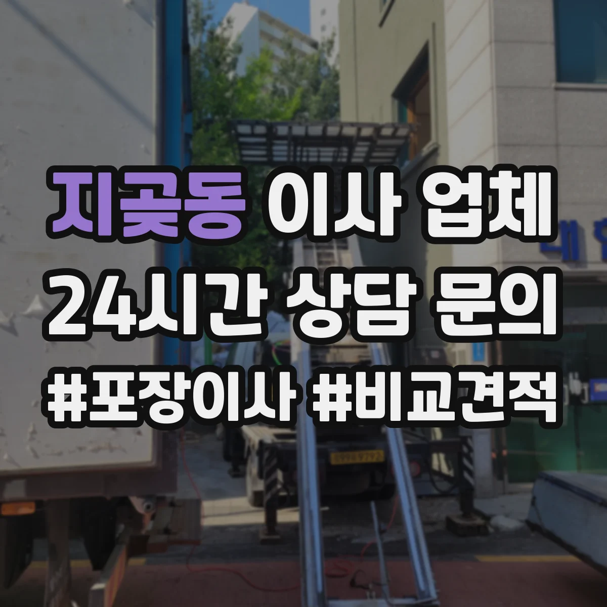 지곶동 이사 업체
