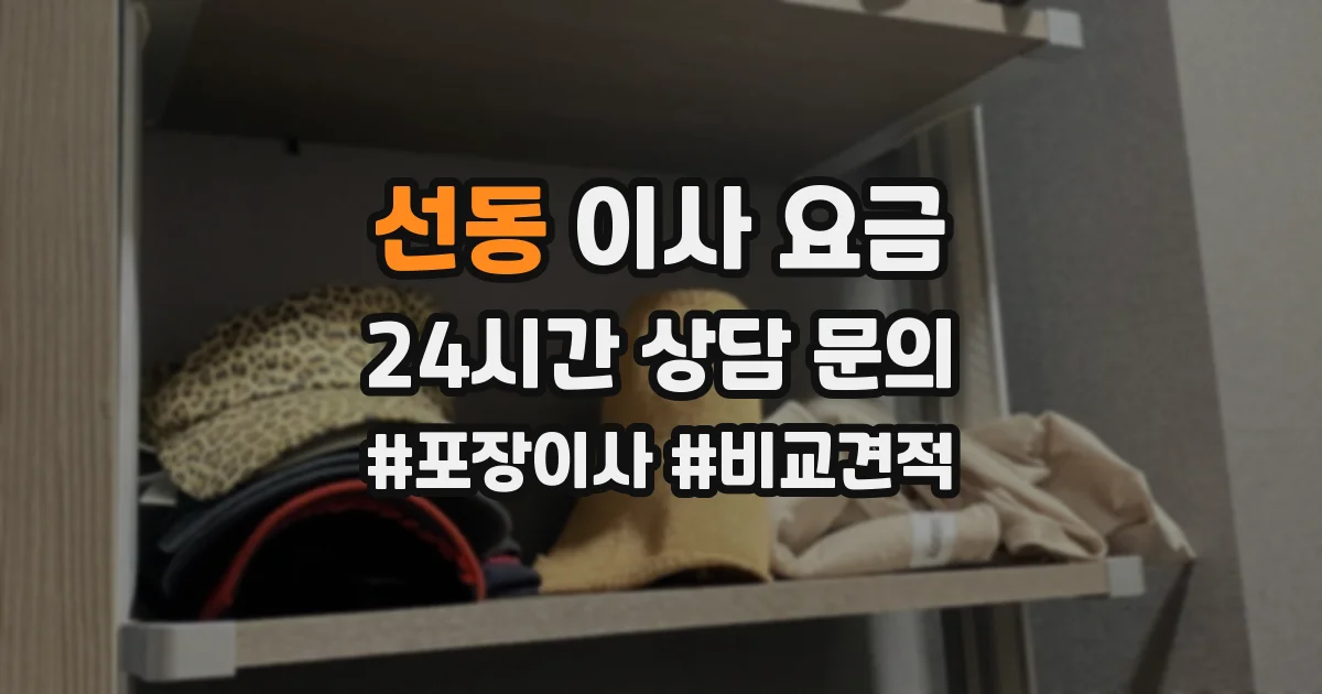 선동 이사 요금