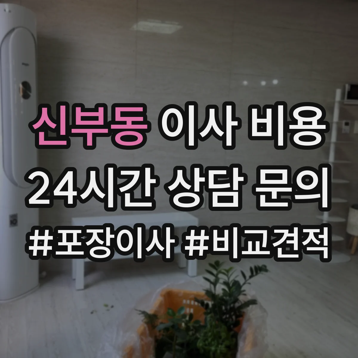 신부동 이사 비용
