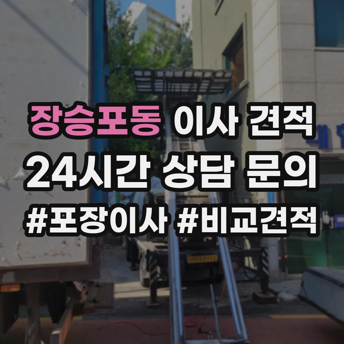 장승포동 이사 견적
