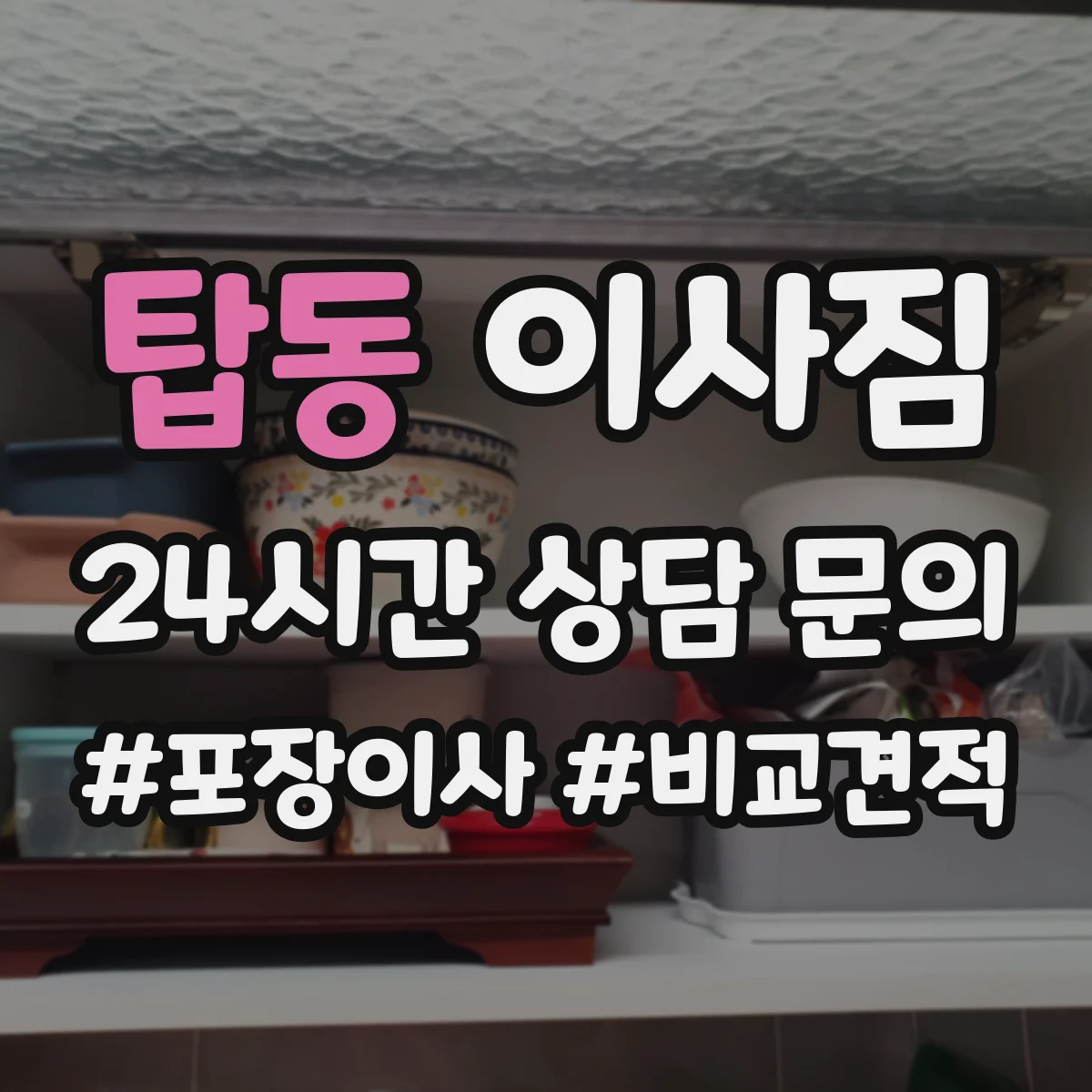 탑동 이사짐