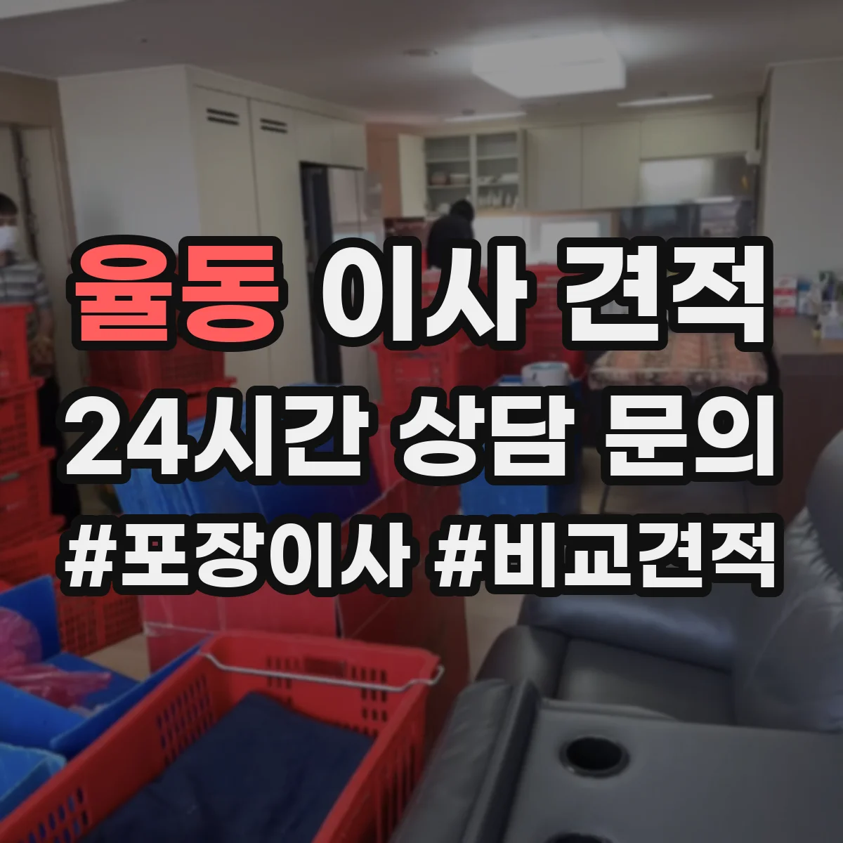 율동 이사 견적
