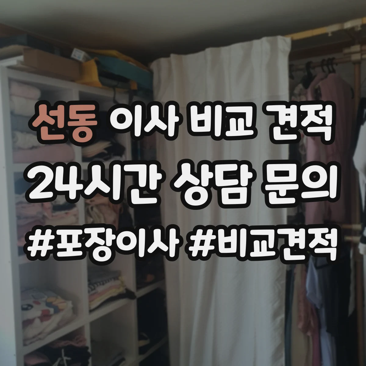 선동 이사 비교 견적