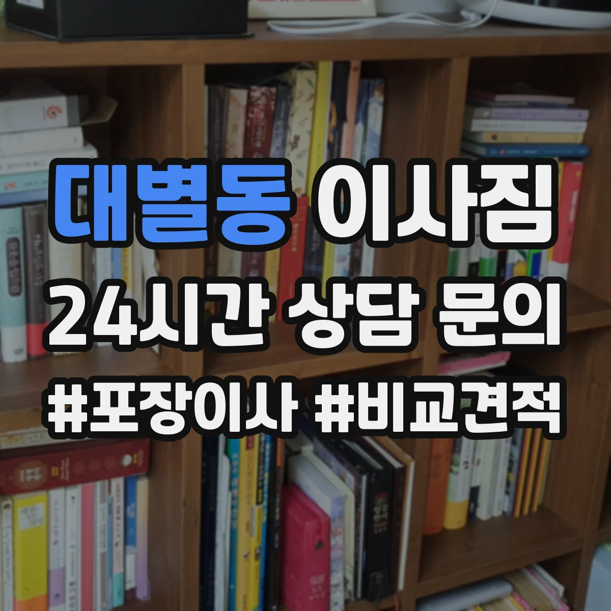 대별동 이사짐