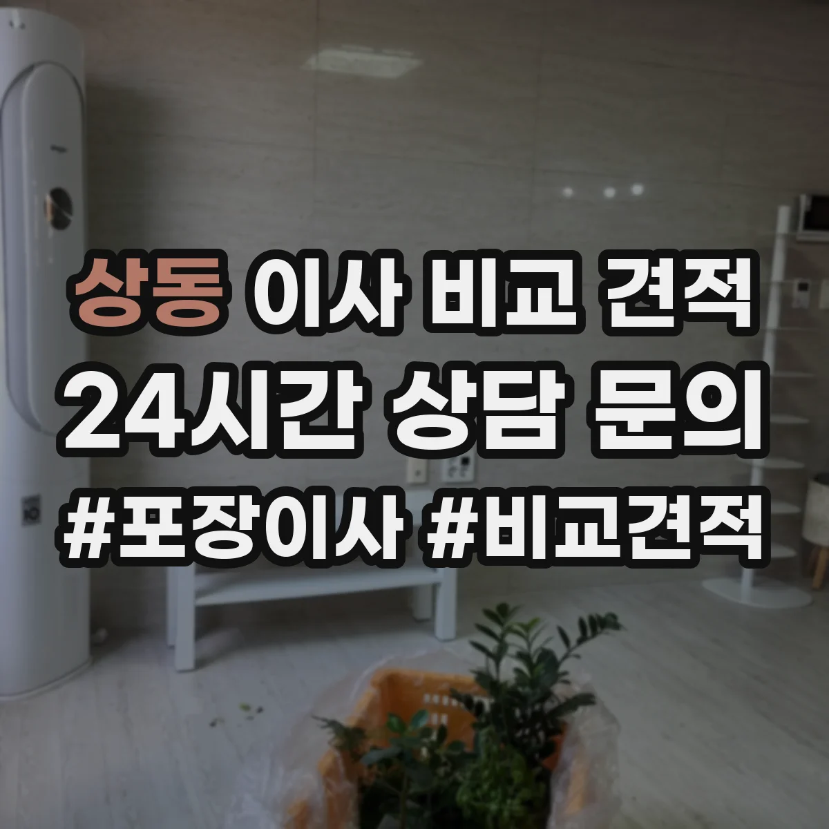상동 이사 비교 견적