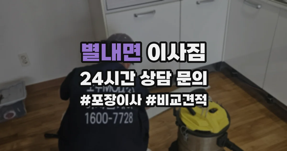 별내면 이사짐